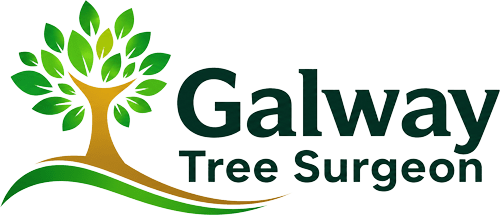 Galway Tree Surgeon Logo
